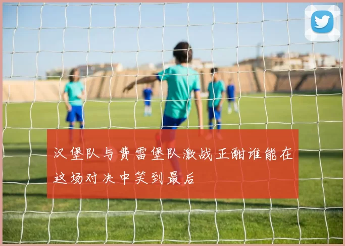 汉堡队与费雷堡队激战正酣谁能在这场对决中笑到最后